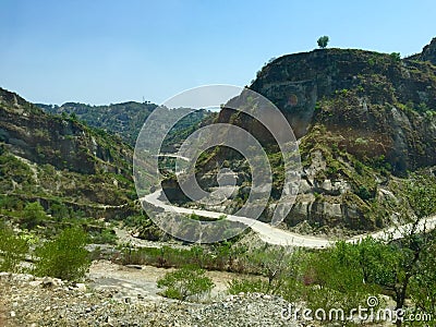 Road through Samba Forest Stock Photo